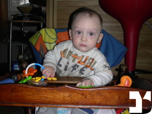 Yuki - 20100330 17.39 - 233 giorni - 760-FDM.JPG